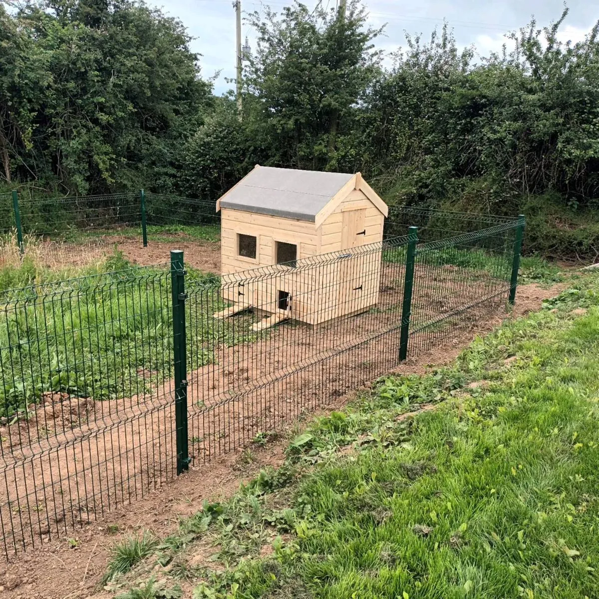 Chicken coops - Image 2