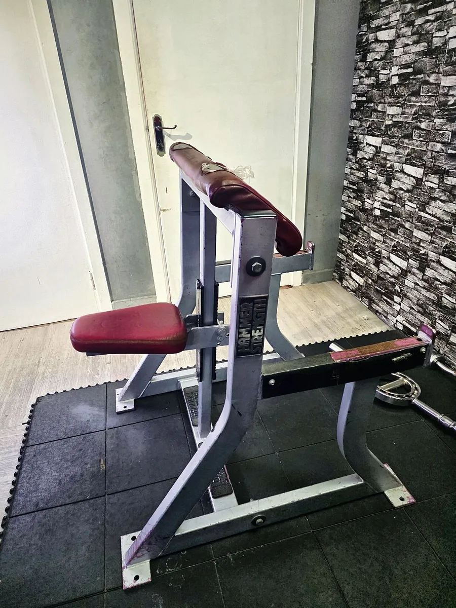 Commercial Grade Gym Equipment For Sale - Image 2