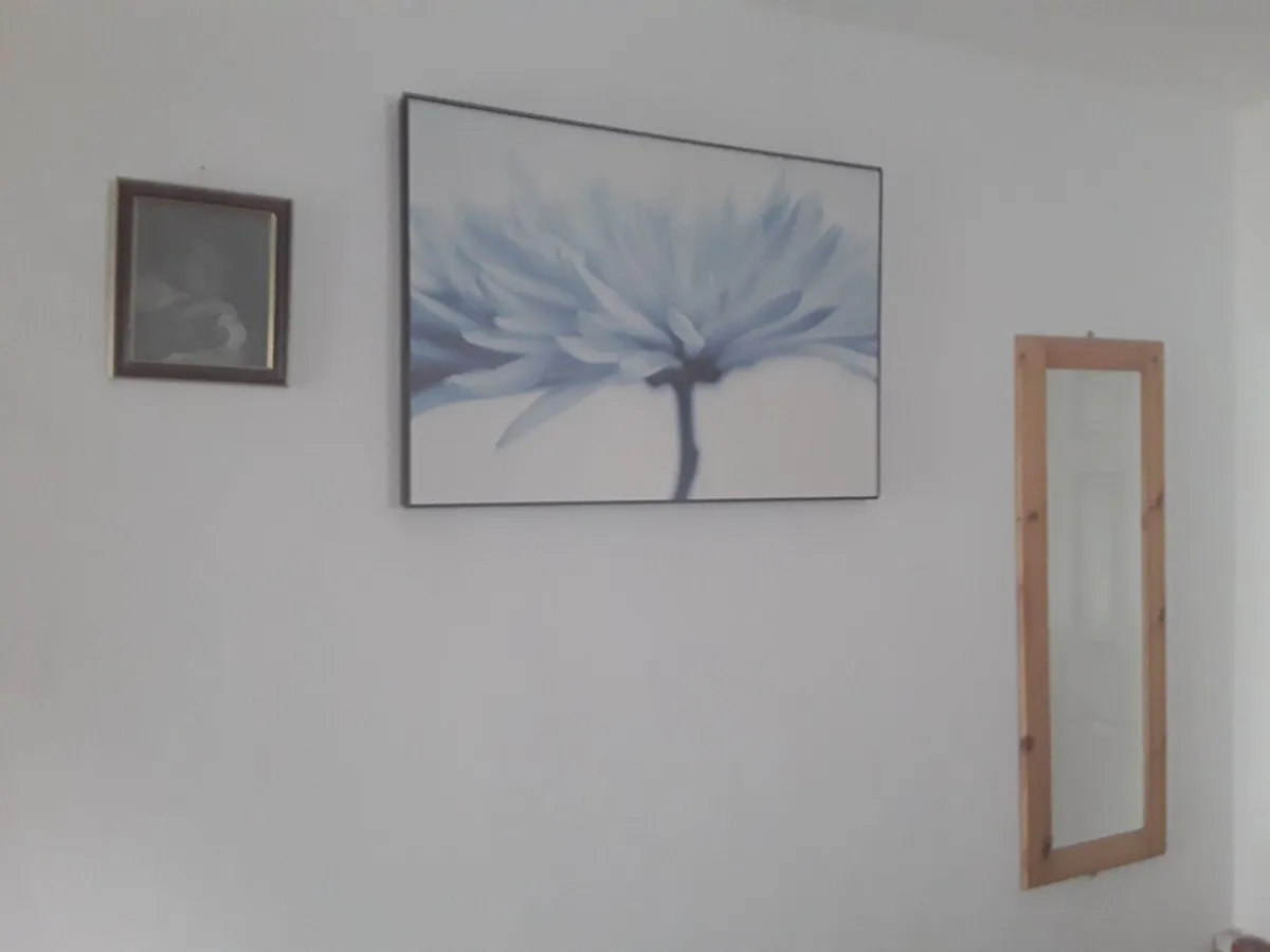 Lovely large picture blue and white coloring - Image 1