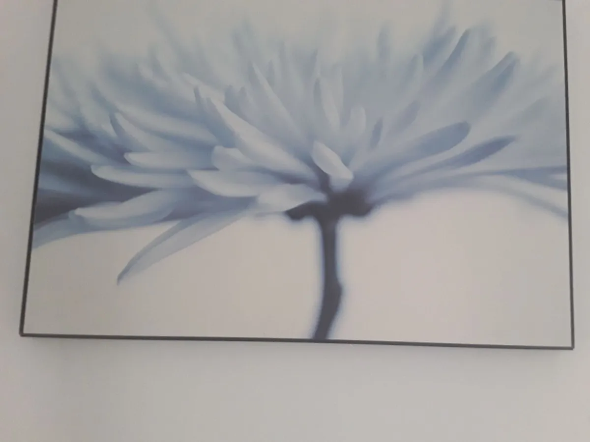 Lovely large picture blue and white coloring - Image 2