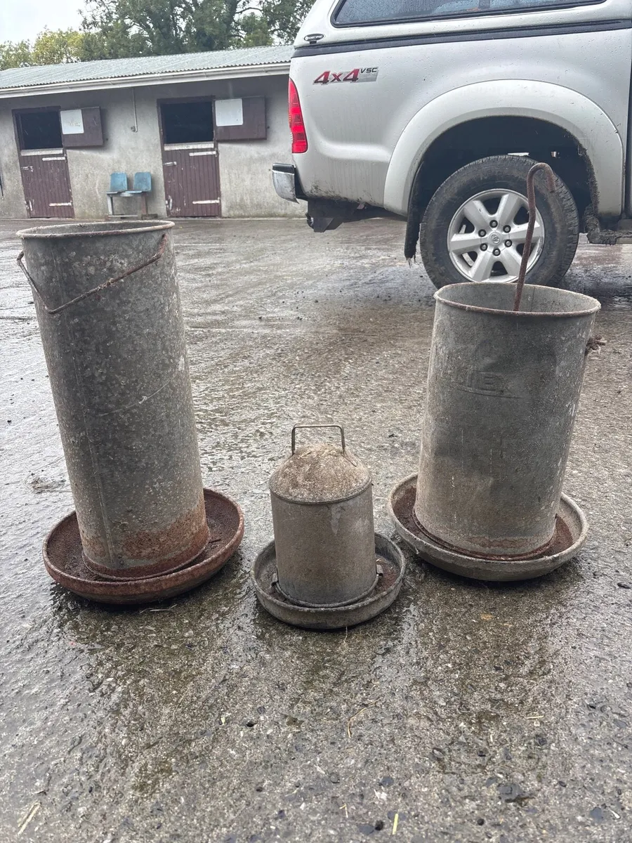 Turkey chicken hen meal feeders and drinker