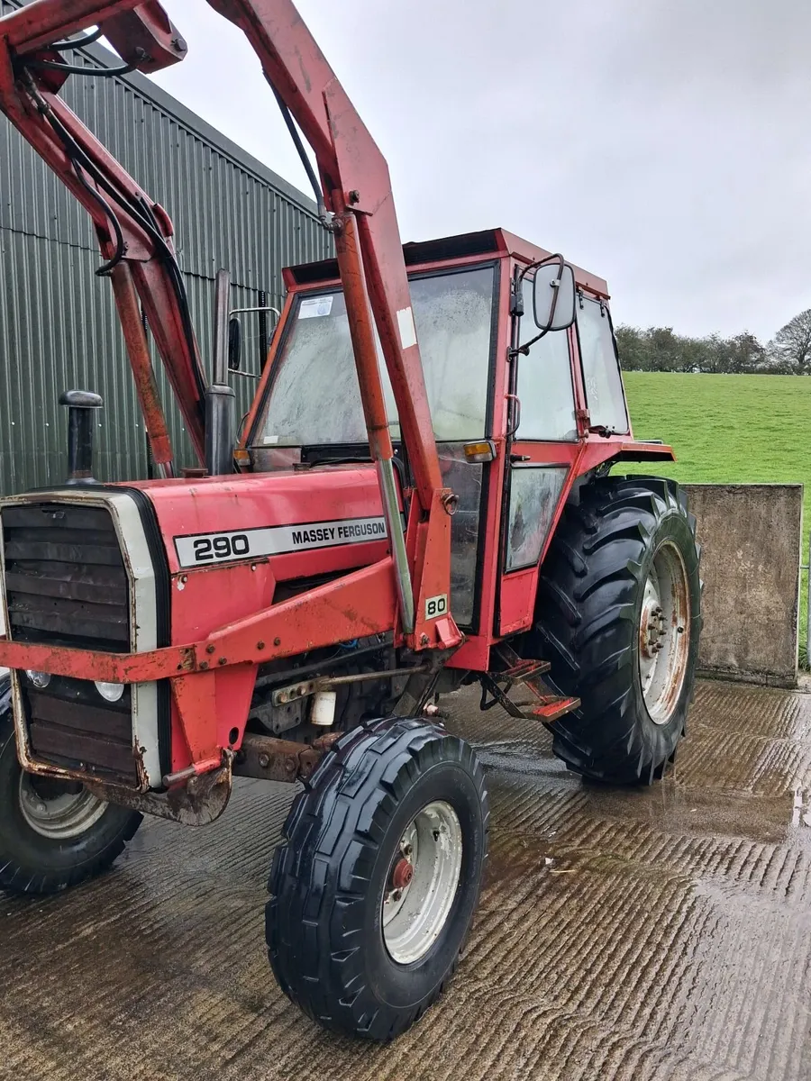 Massey Ferguson Other 1984 - Image 2