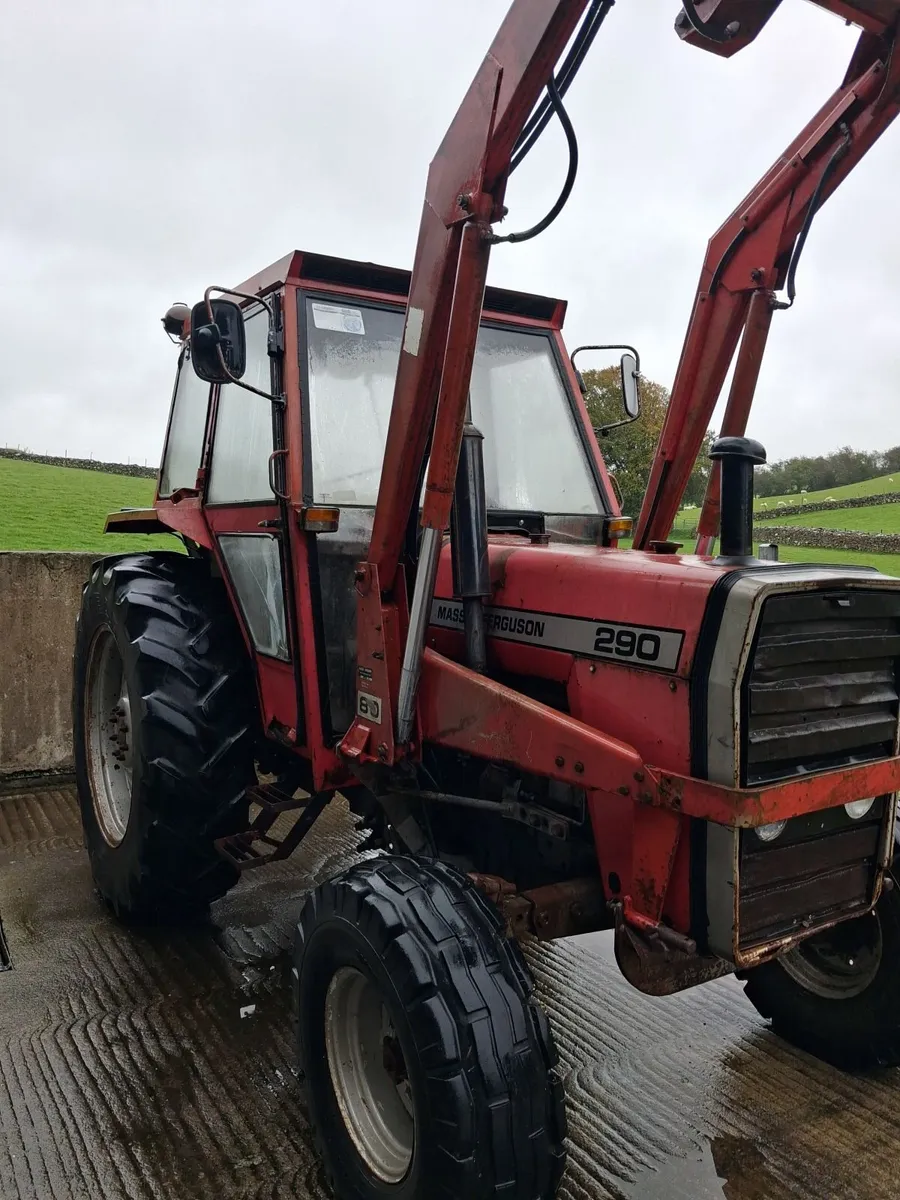 Massey Ferguson Other 1984 - Image 3
