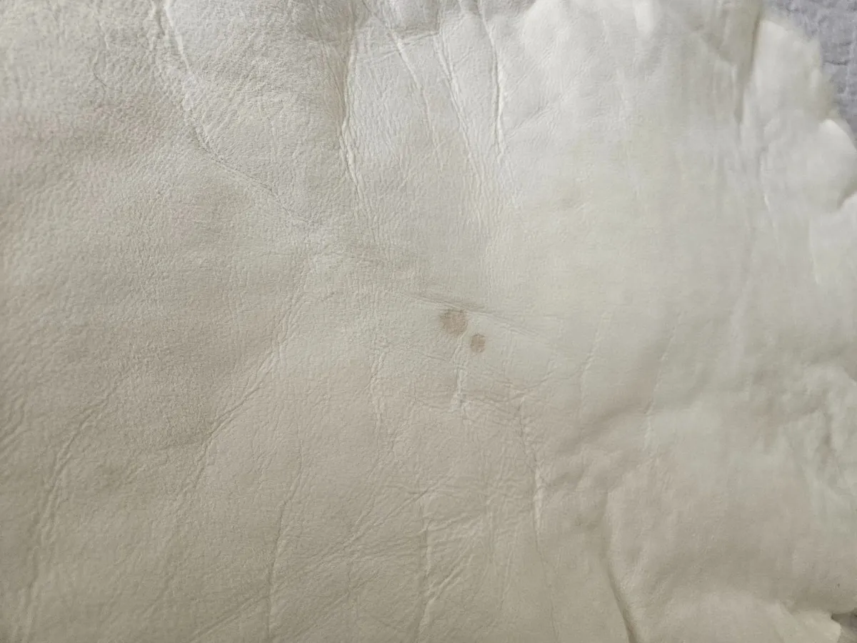2 New White Genuine Sheepskin Rugs Great Quality - Image 4
