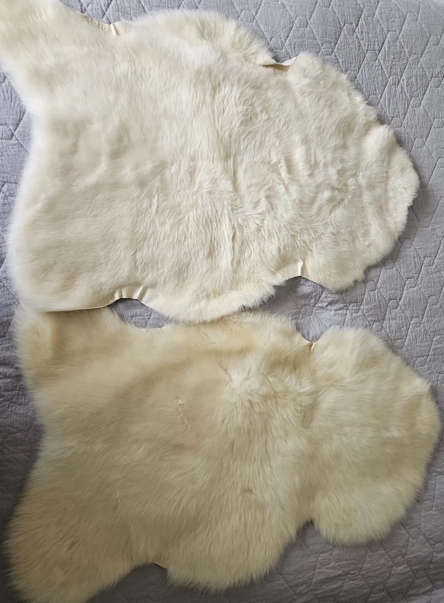 2 New White Genuine Sheepskin Rugs Great Quality - Image 1