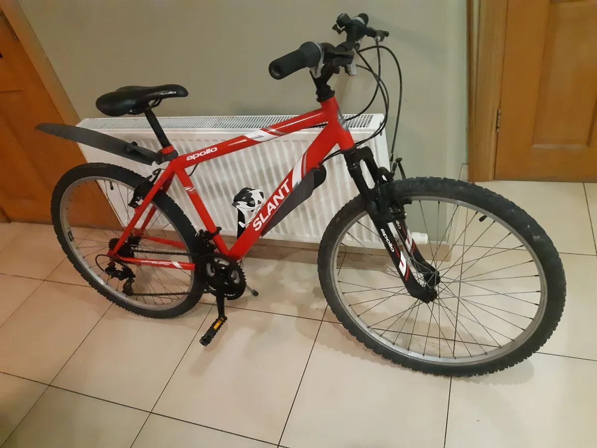 17" mountain bicycle - Image 1