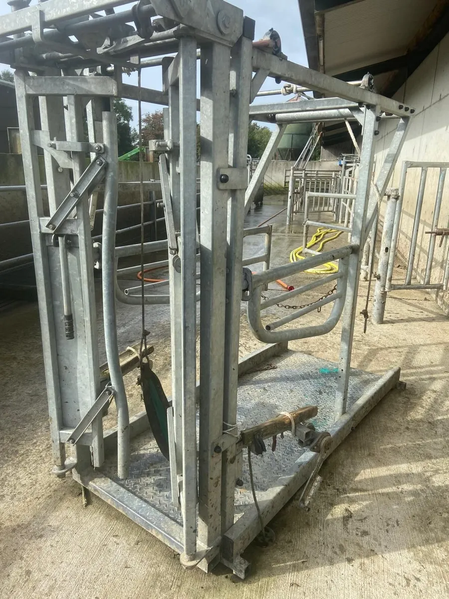 Hoof Crate - Image 2