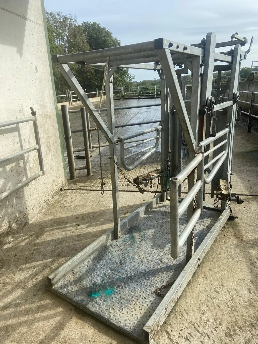 Hoof Crate - Image 3
