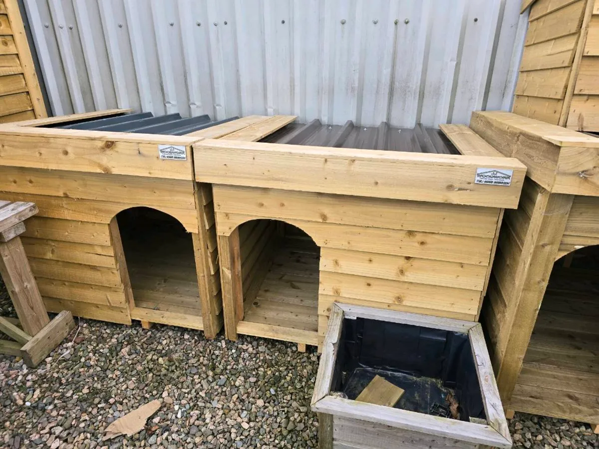 Dog kennel - Image 4