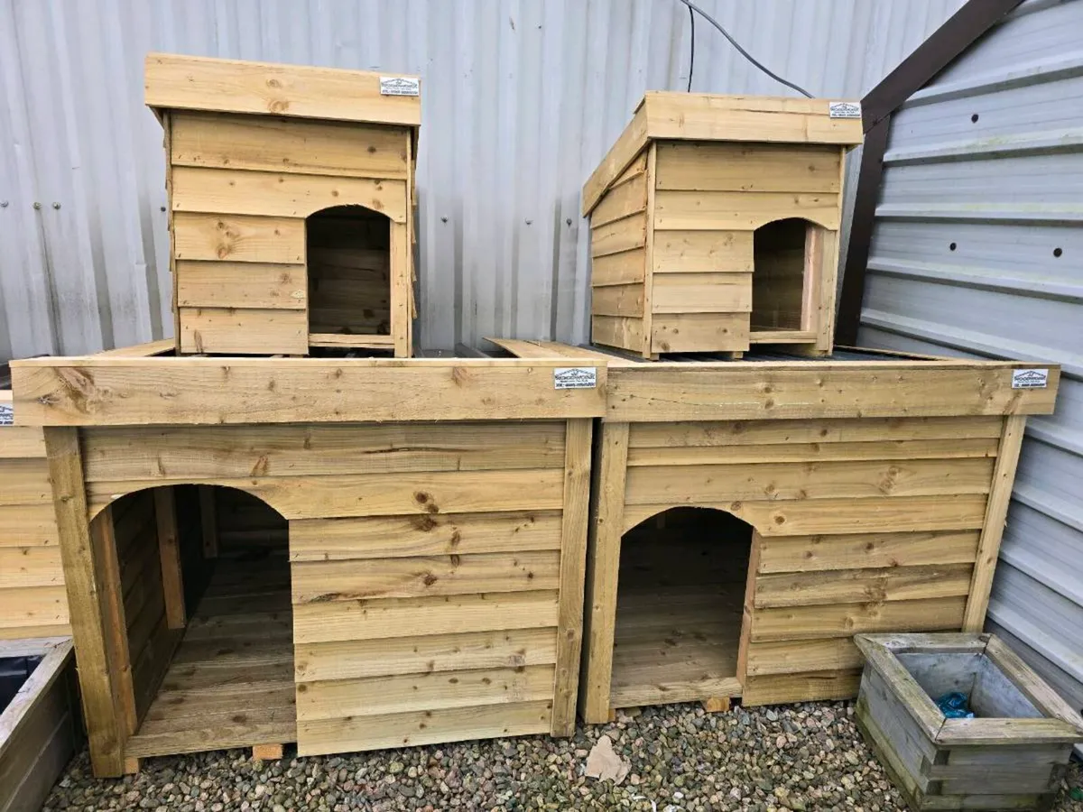 Dog kennel - Image 1