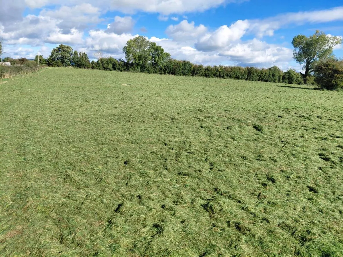 Silage bales - Image 3