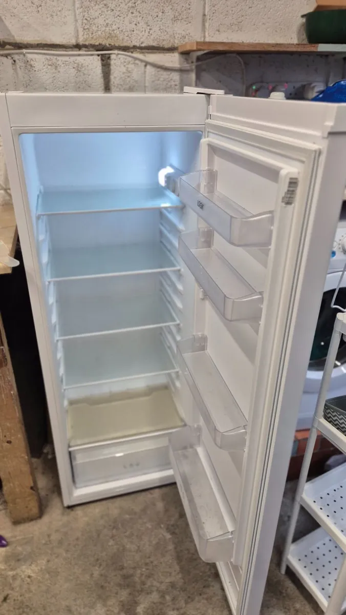 Logik Tall Fridge - LTL55W22 - Image 3
