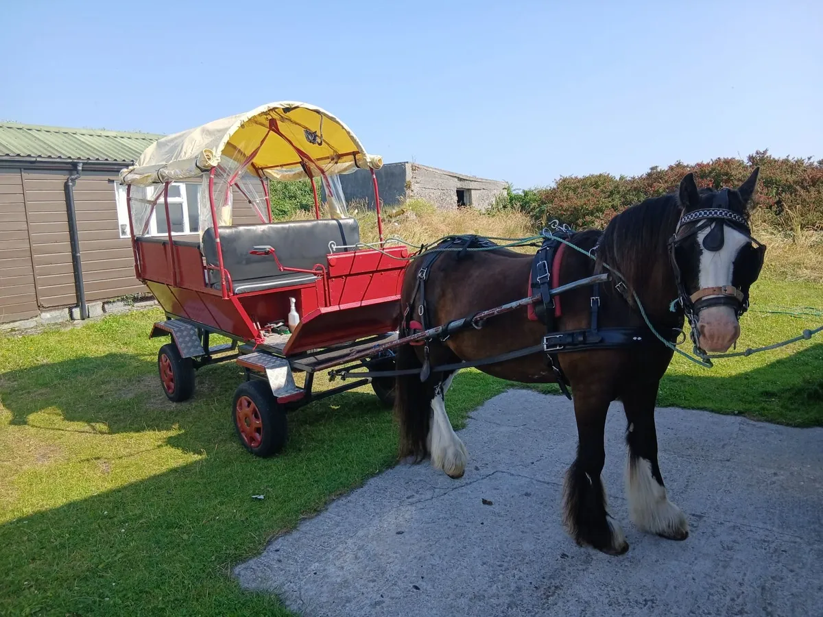 8 seater carriage - Image 1