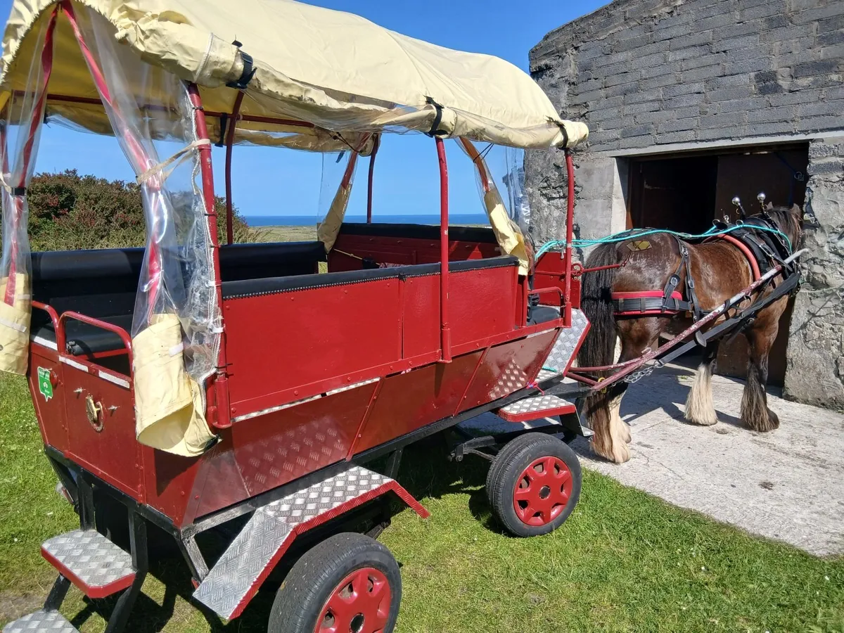 8 seater carriage - Image 2