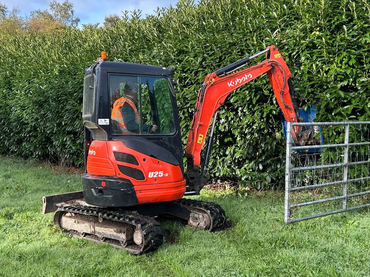 Hedge Cutting - Image 1