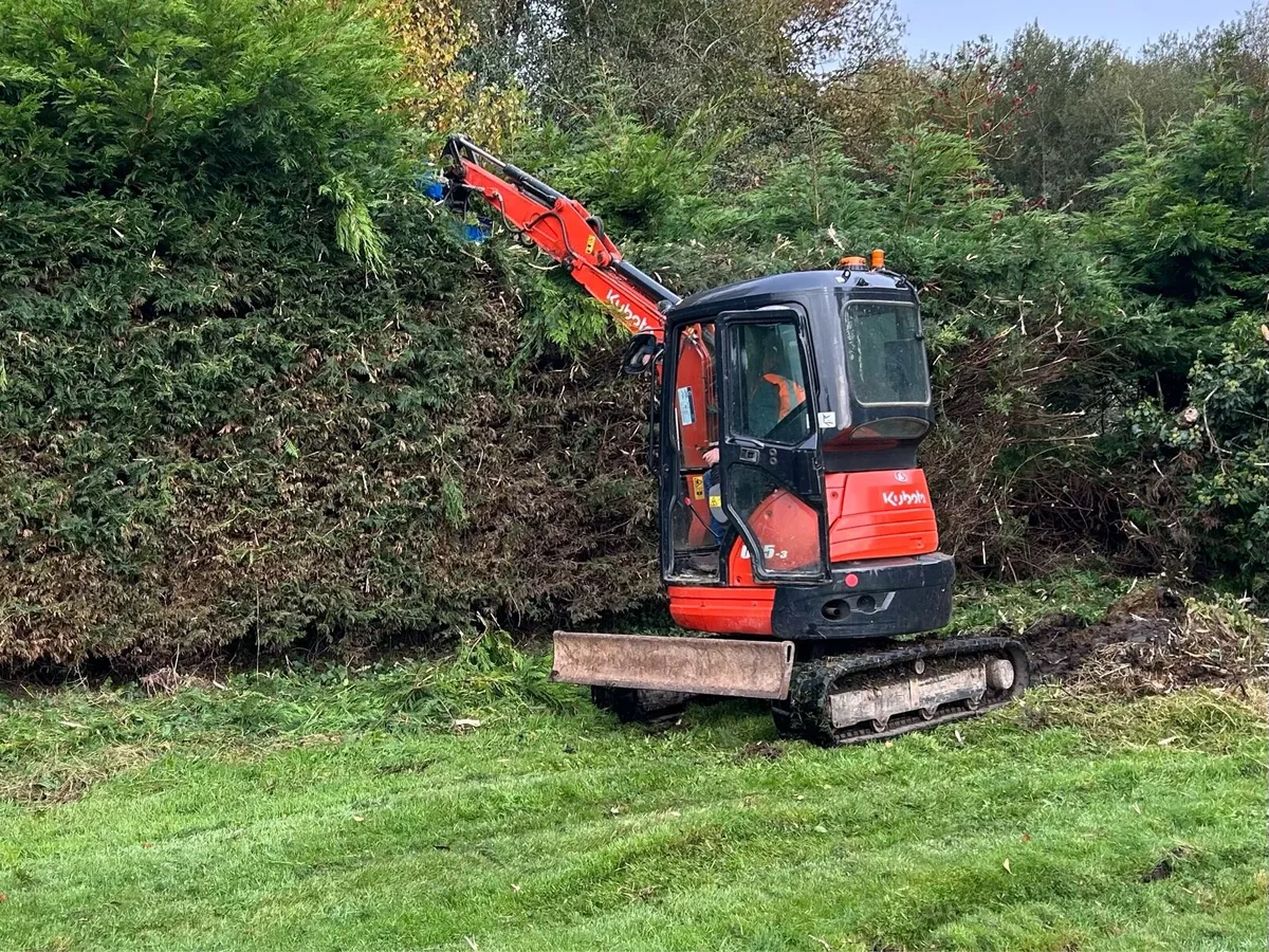 Hedge Cutting - Image 2