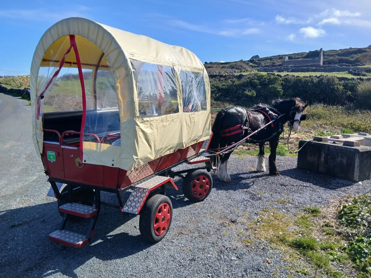 8 seater carriage - Image 3