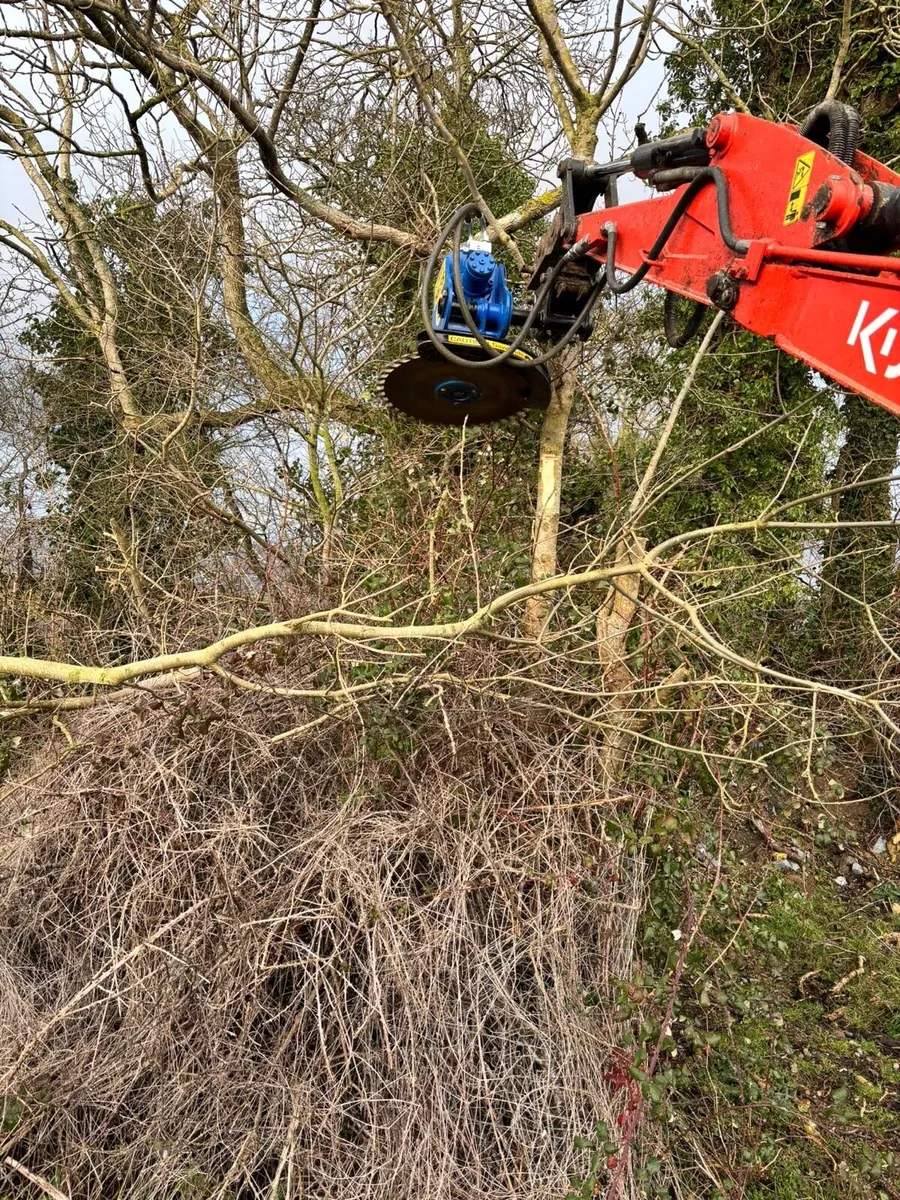 Hedge Cutting - Image 3
