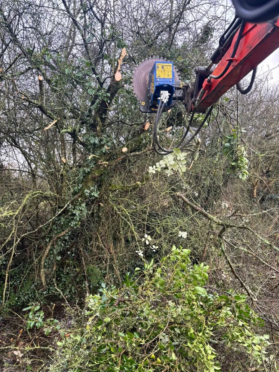 Hedge Cutting - Image 4