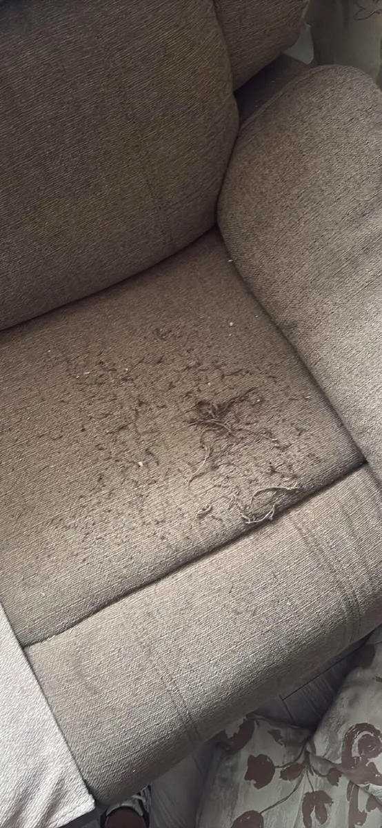 Sofa - Image 4