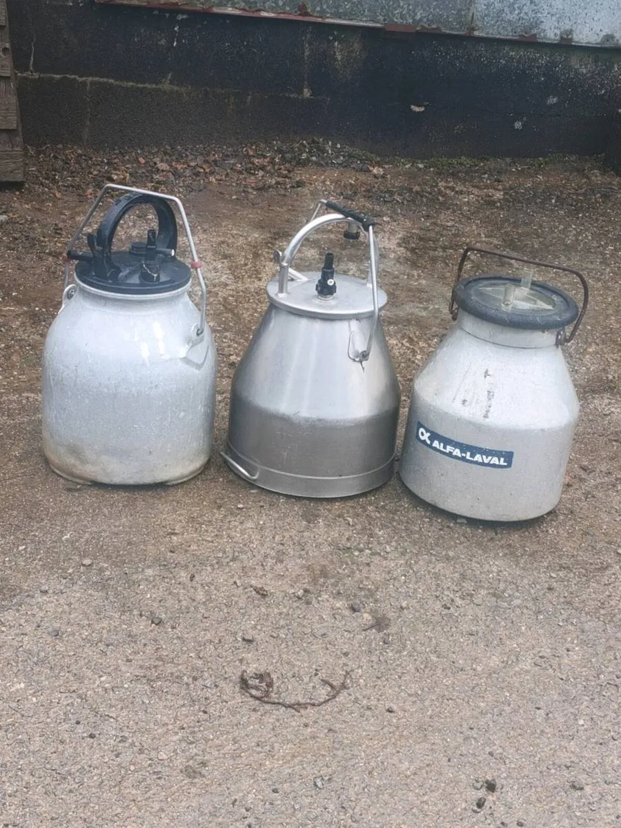 Milking buckets for sale with lids (As new)