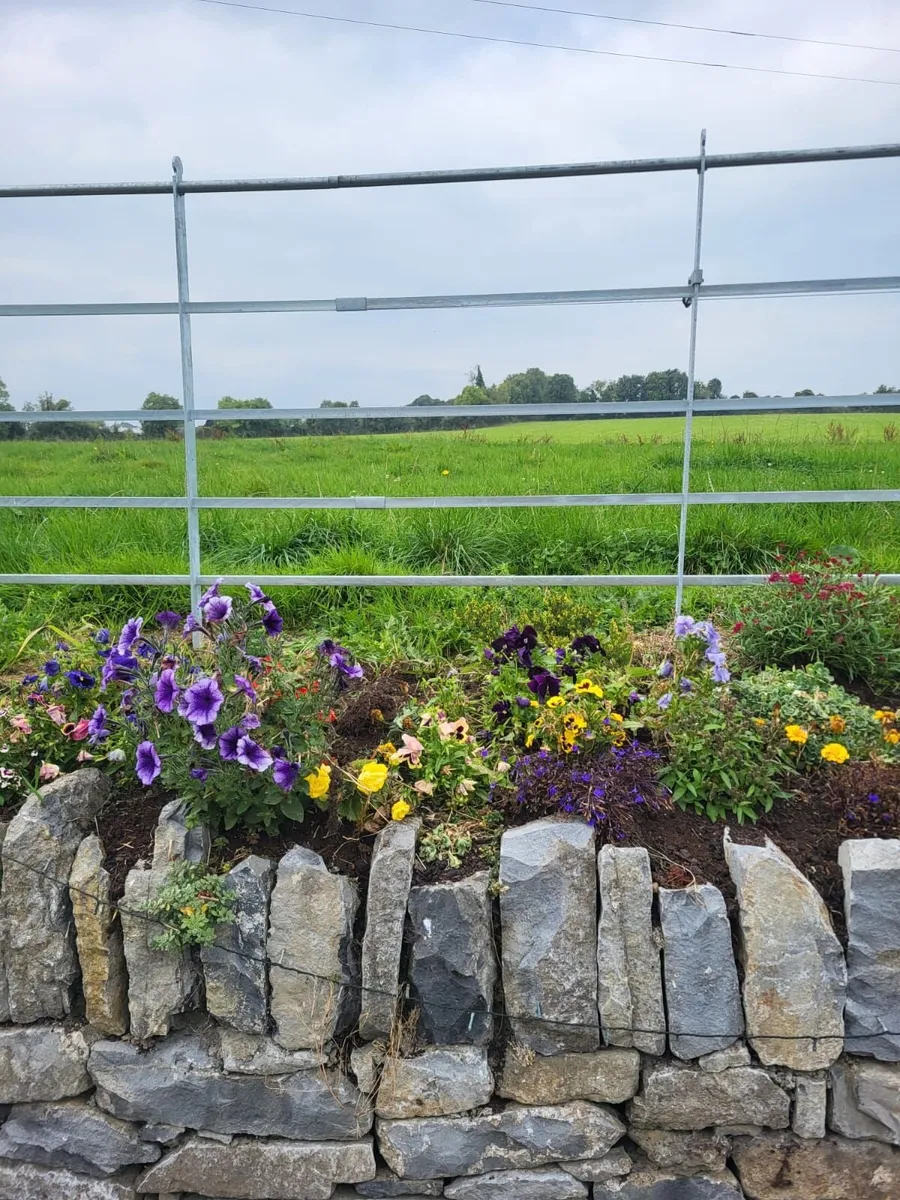 Estate Fencing - Image 3
