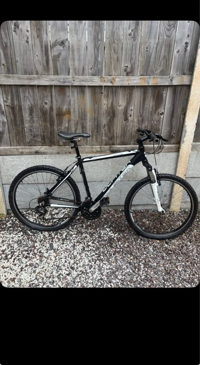 Jupiter bike - Image 2