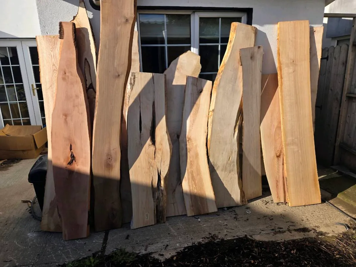 Live Edge Wood Slabs Kiln Dried Ash Walnut More - Image 1
