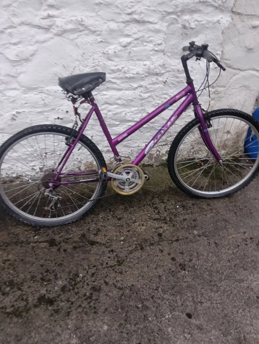Bicycle - Image 1