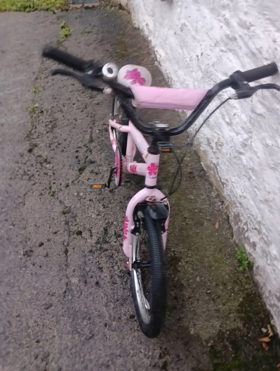 Bicycle - Image 4