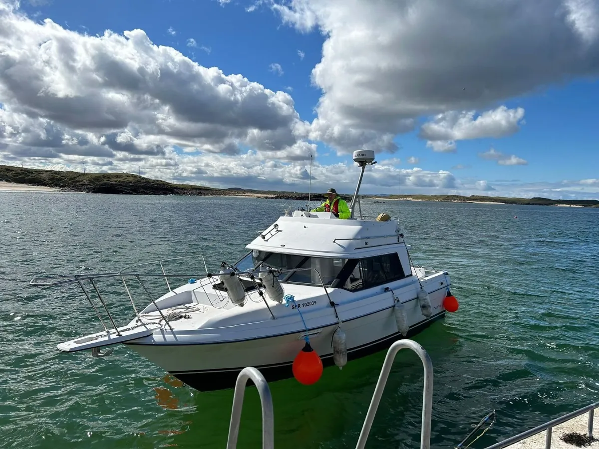 Bayliner 2556 Flybridge 25ft. - Image 2