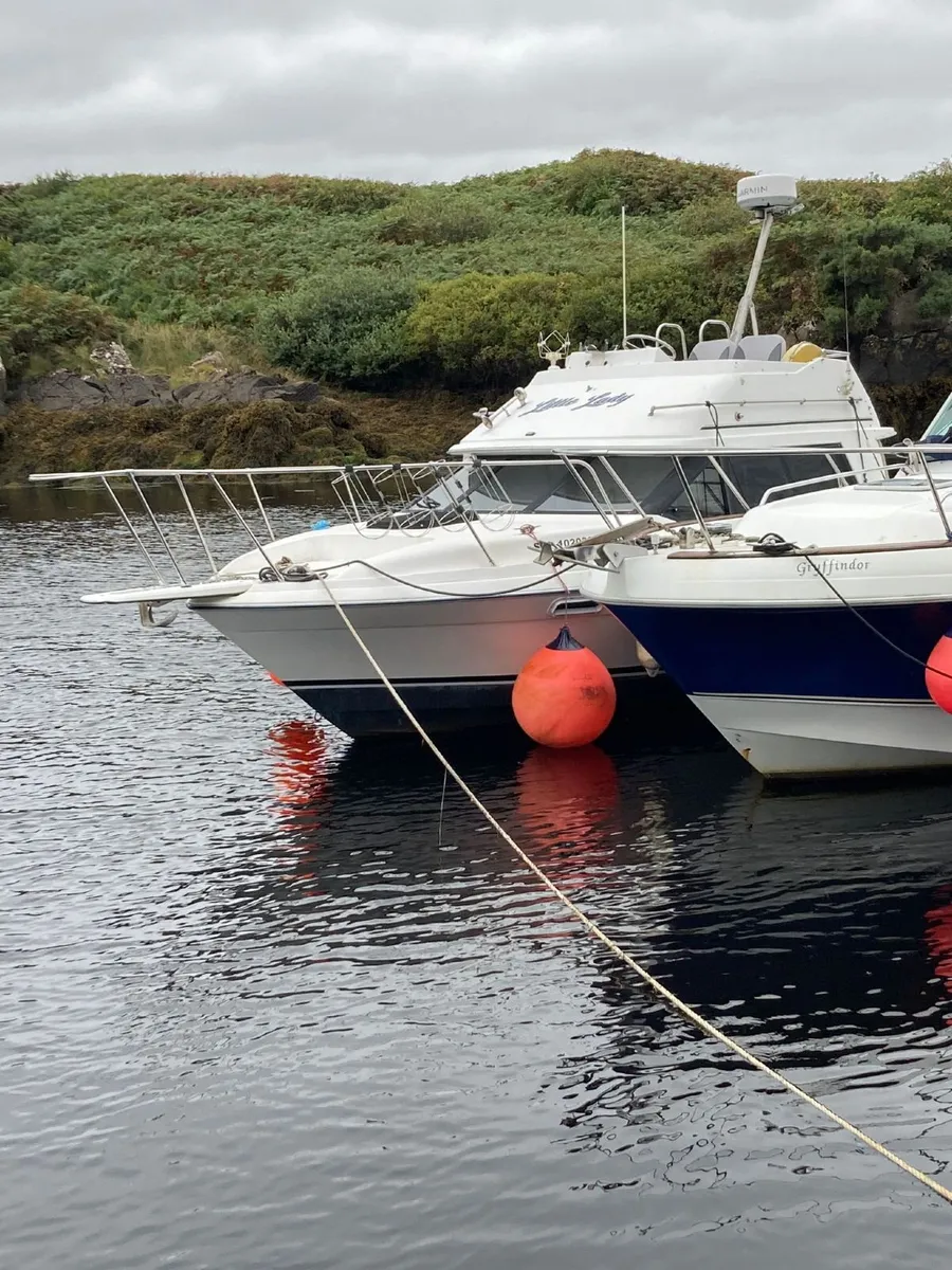 Bayliner 2556 Flybridge 25ft. - Image 4