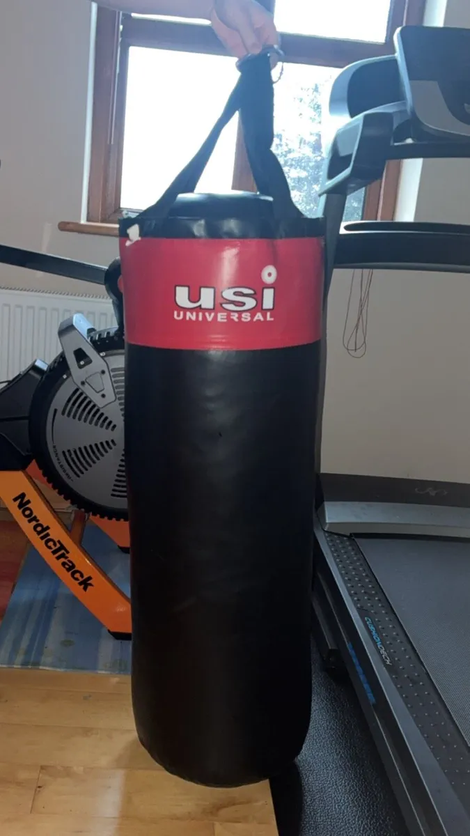 USI Universal Boxing Bag ( Price Negotiable ) - Image 2