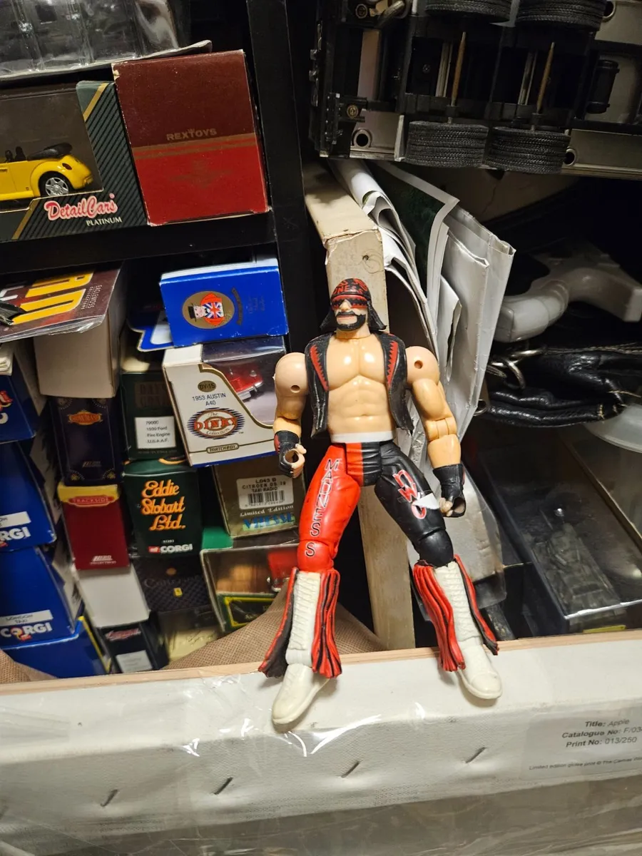 Wrestler