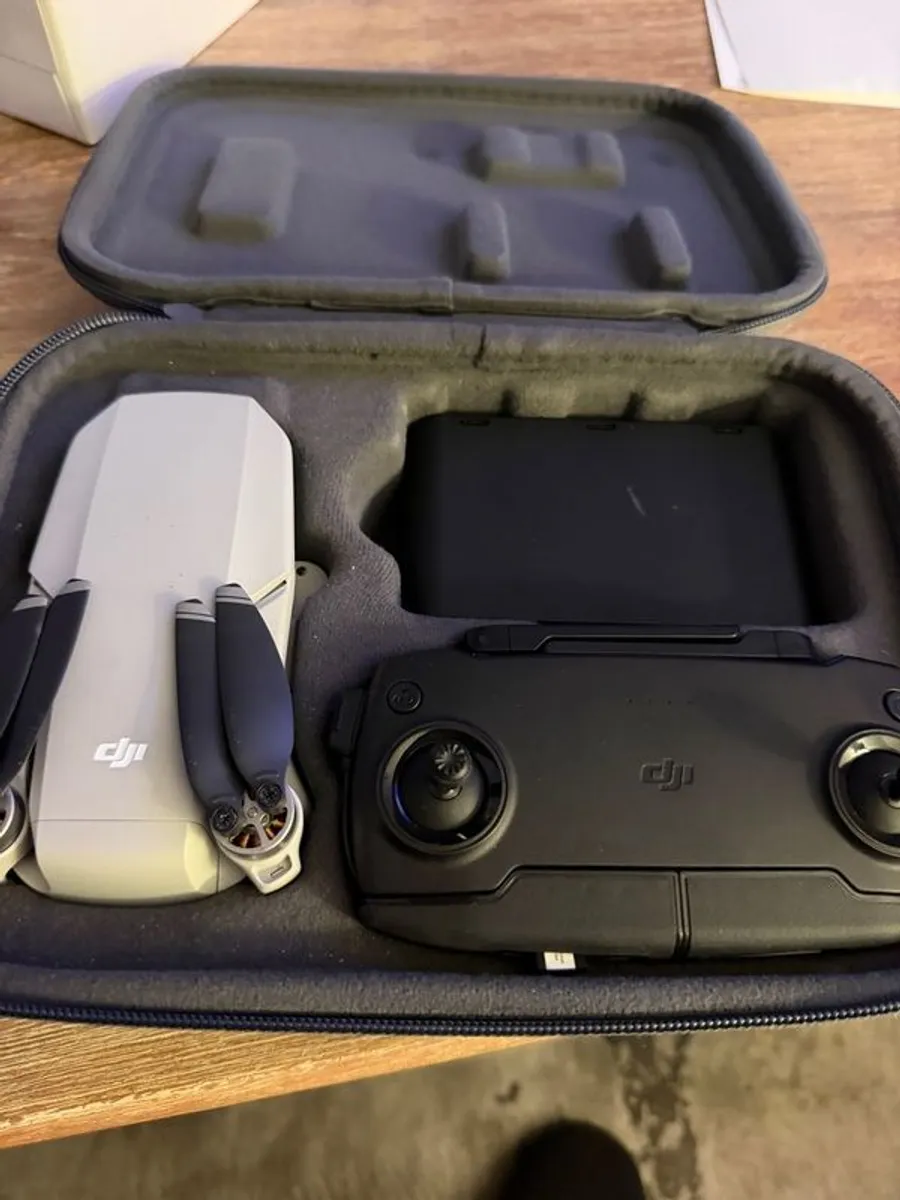DJI Mavic mini - Image 2