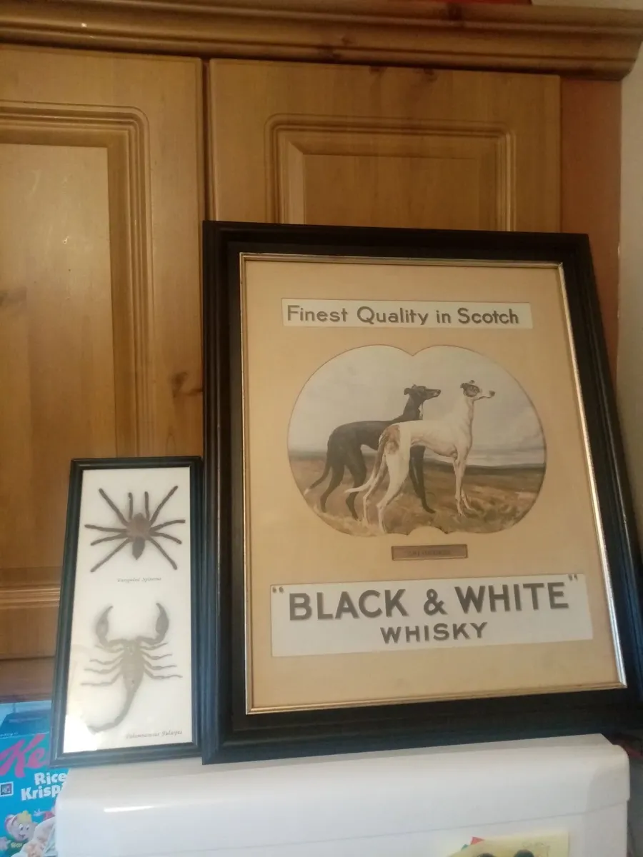 House  Clearance - Image 1
