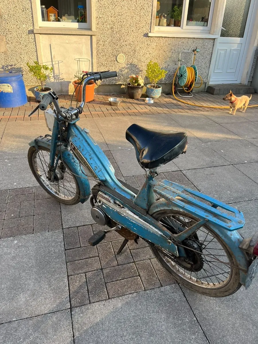 1977 Motobecane Molylette - Image 3