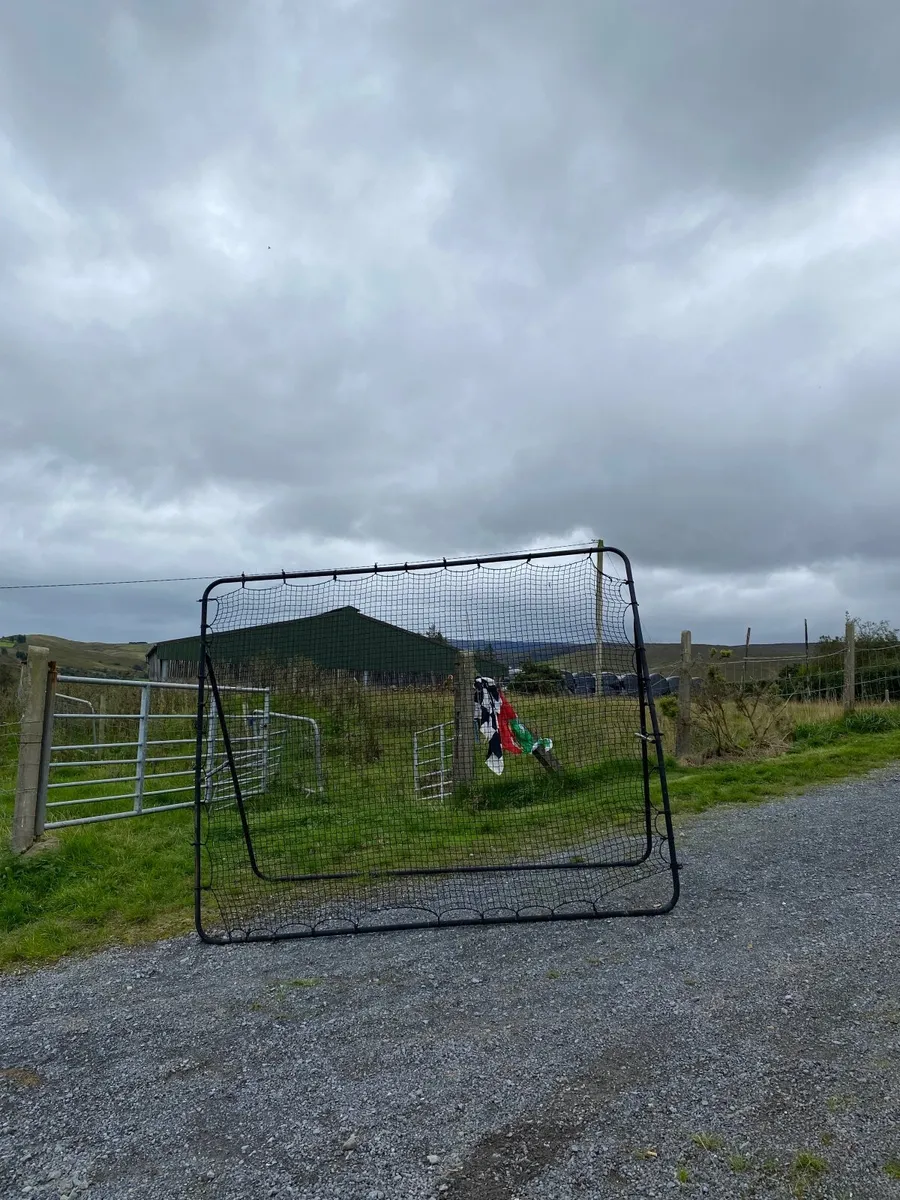 Rebounder - Image 1