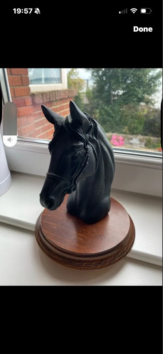 Vintage Horse Head Display - Image 2
