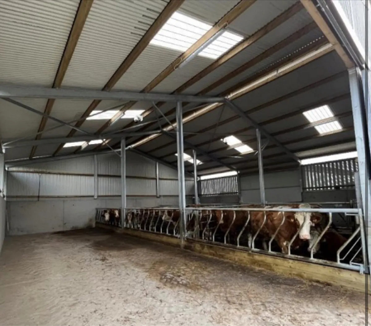 Looking Slatted shed to rent