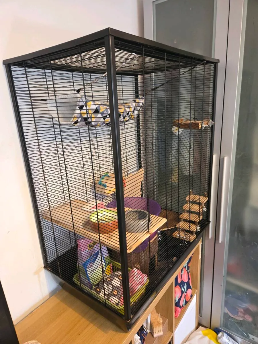 Small Animal Cage & Accessories - Image 1