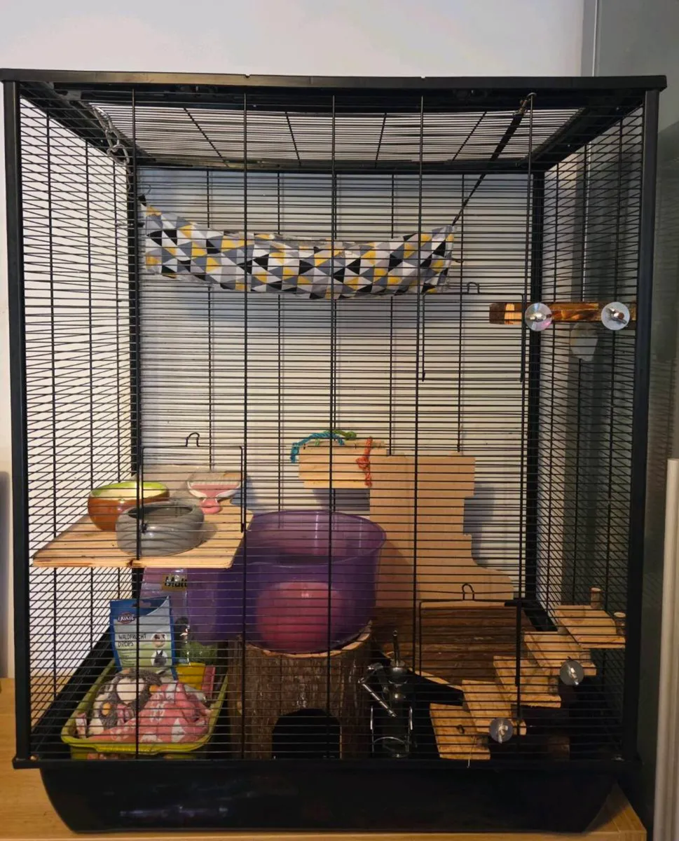 Small Animal Cage & Accessories - Image 2