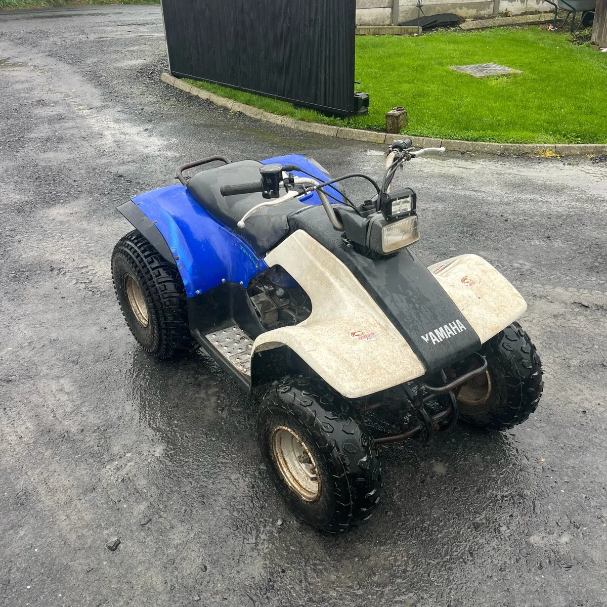 Yamaha breeze - Image 3
