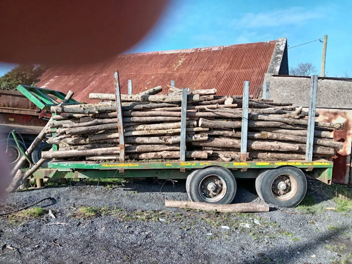 Heavy.  Duty.  Trailer.  Suitable.  For. Lengths. - Image 1