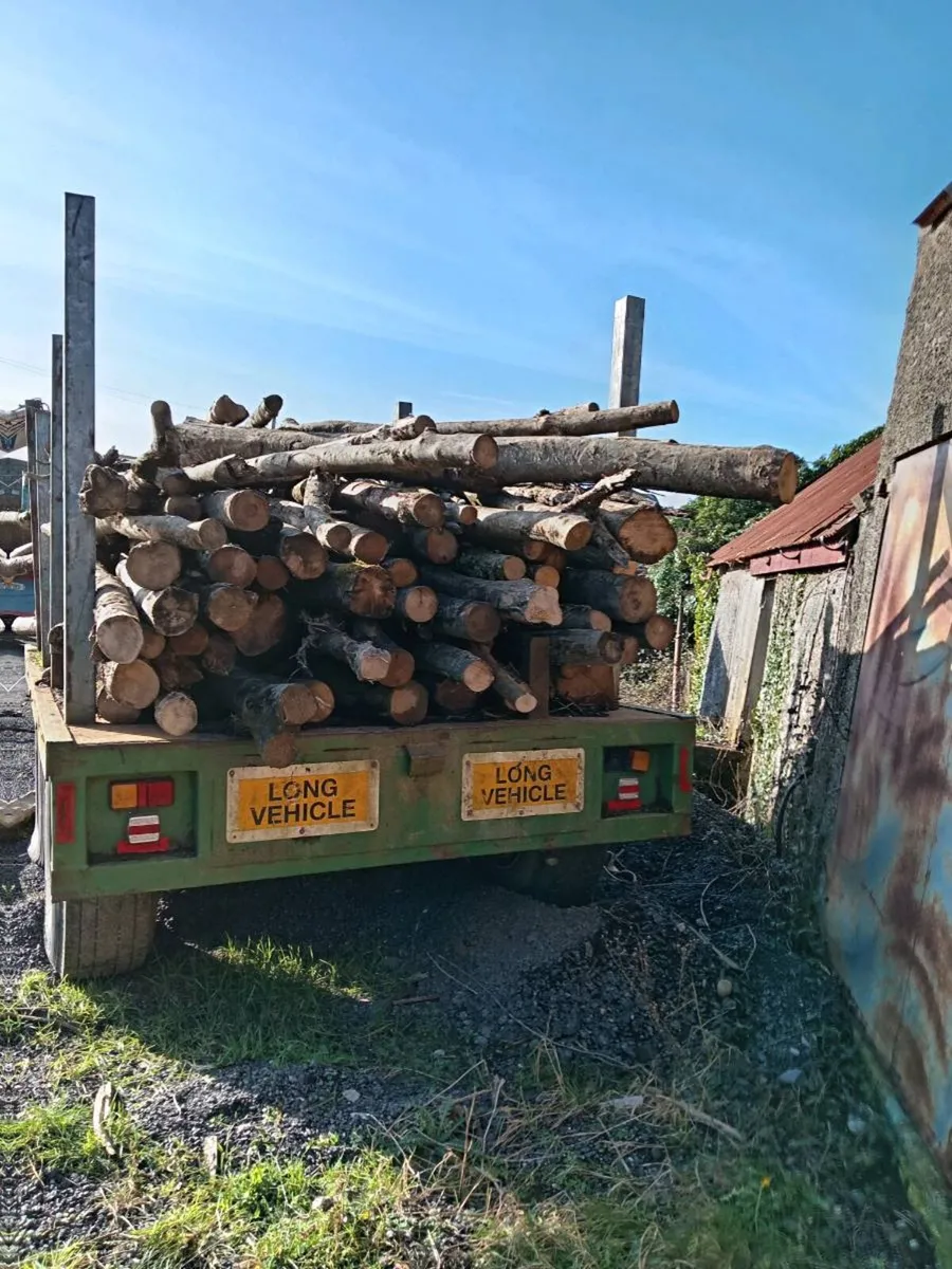 Heavy.  Duty.  Trailer.  Suitable.  For. Lengths. - Image 2