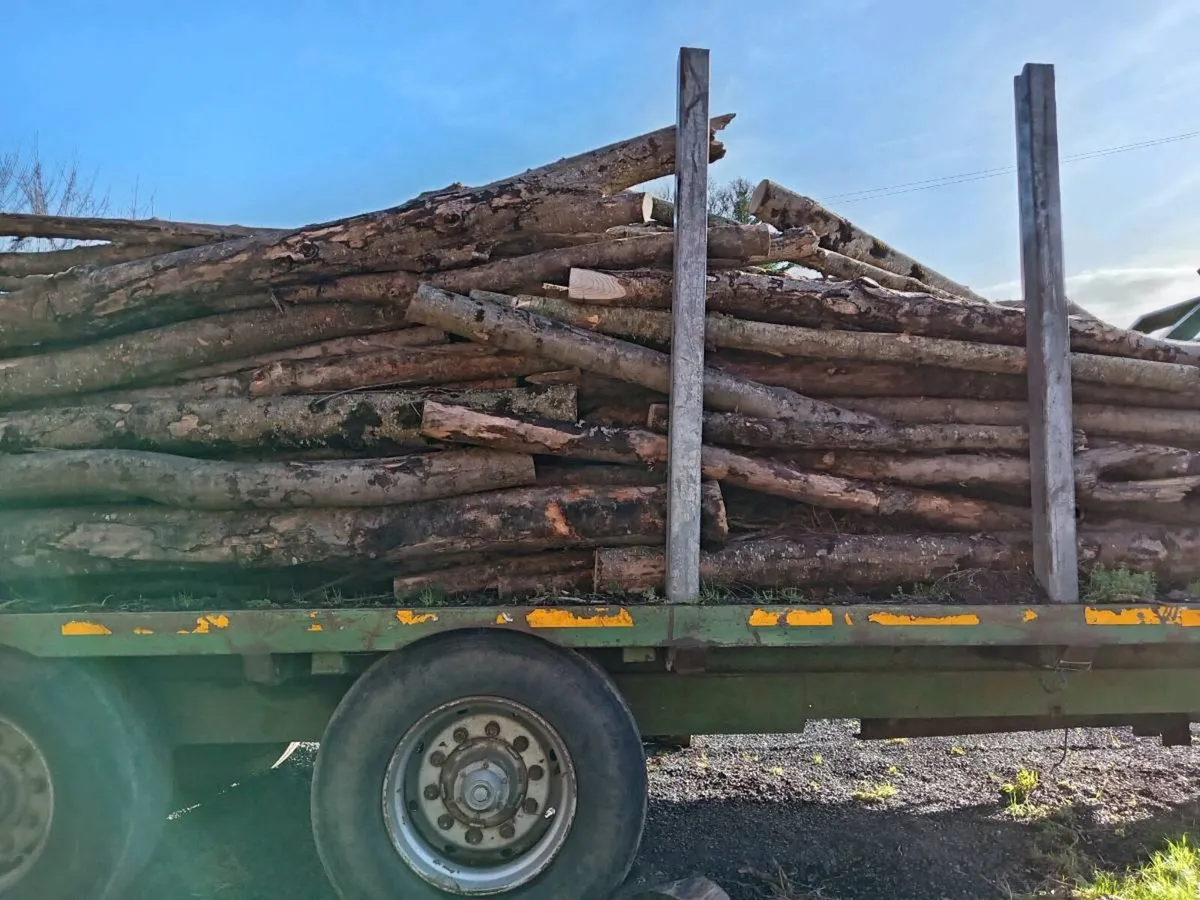 Heavy.  Duty.  Trailer.  Suitable.  For. Lengths. - Image 3