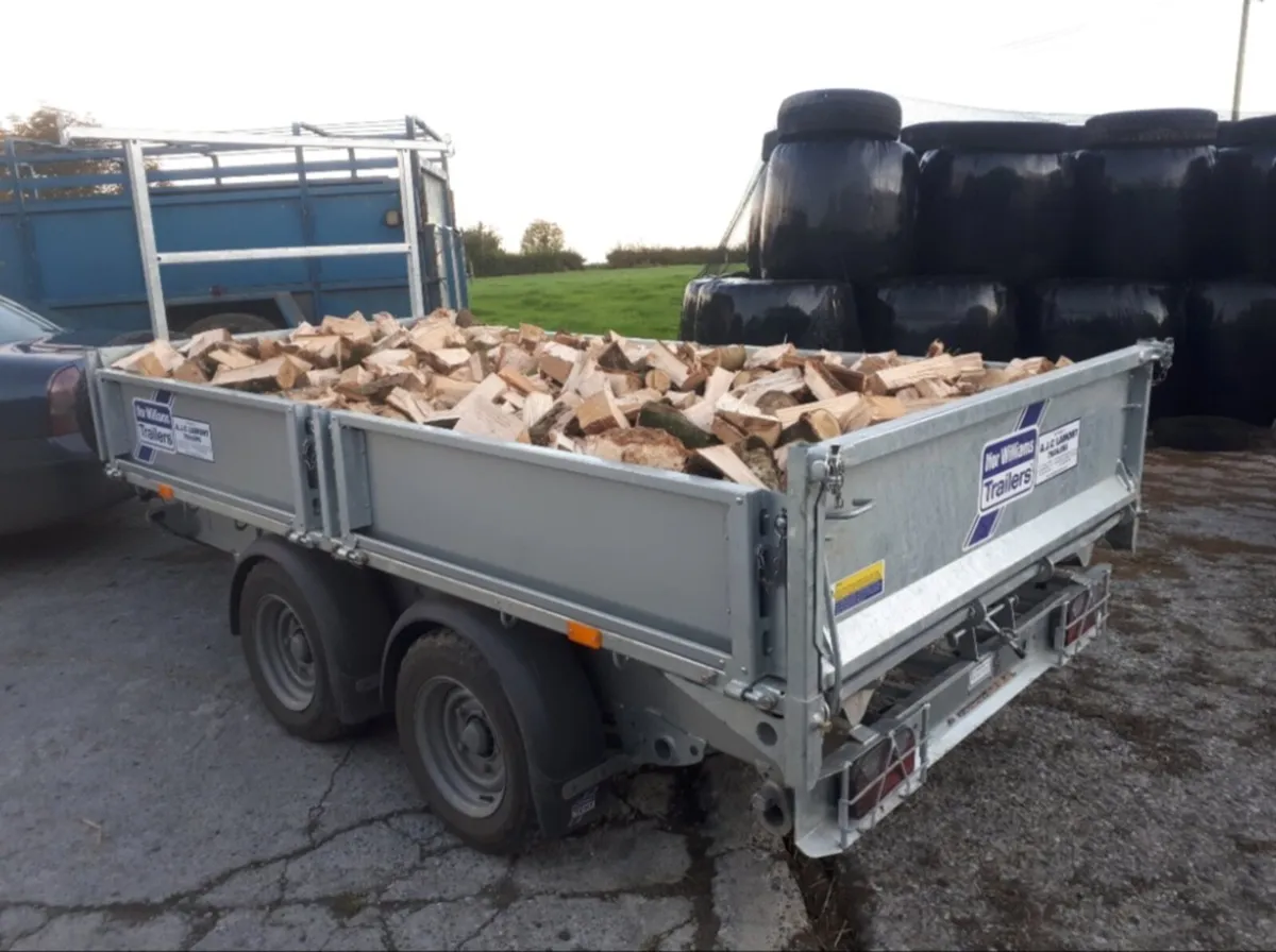 Firewood - Image 1