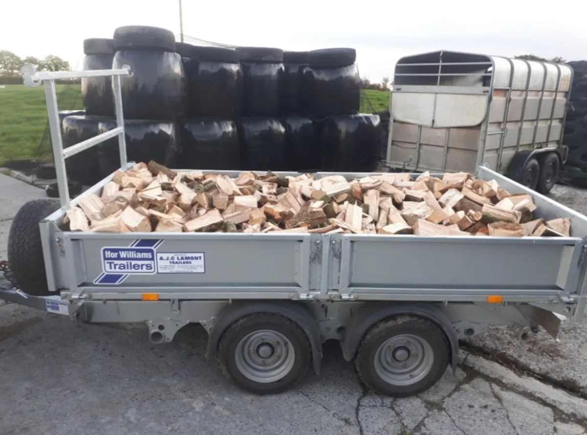 Firewood - Image 2