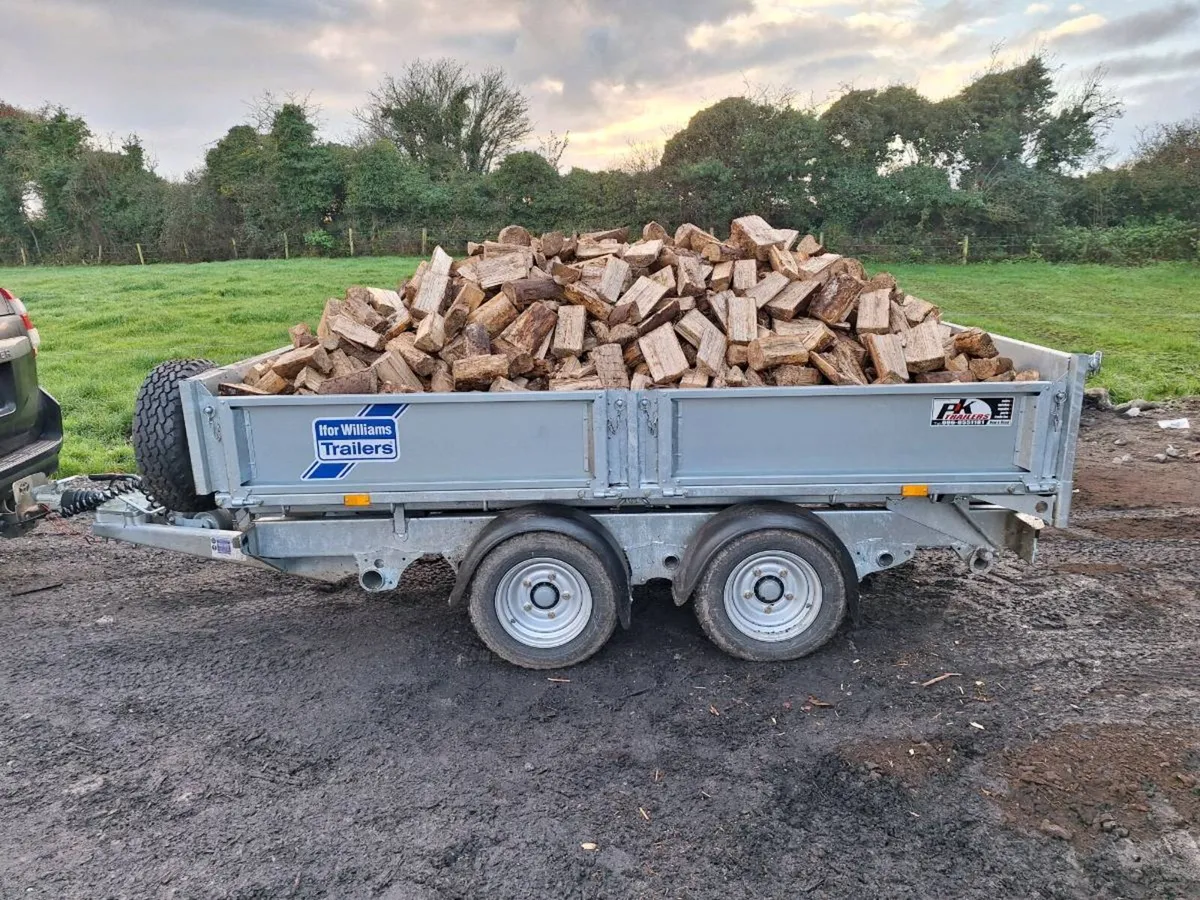 Firewood - Image 1