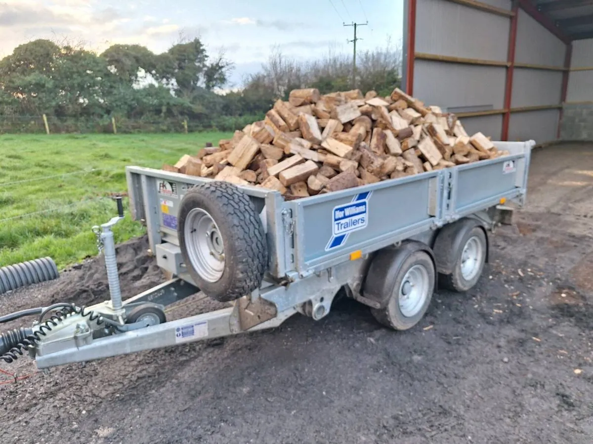 Firewood - Image 3